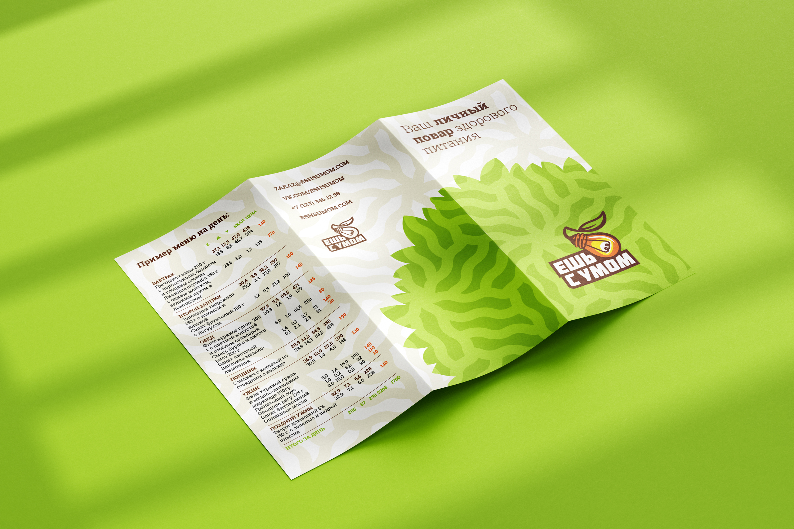 eshsumom trifold1